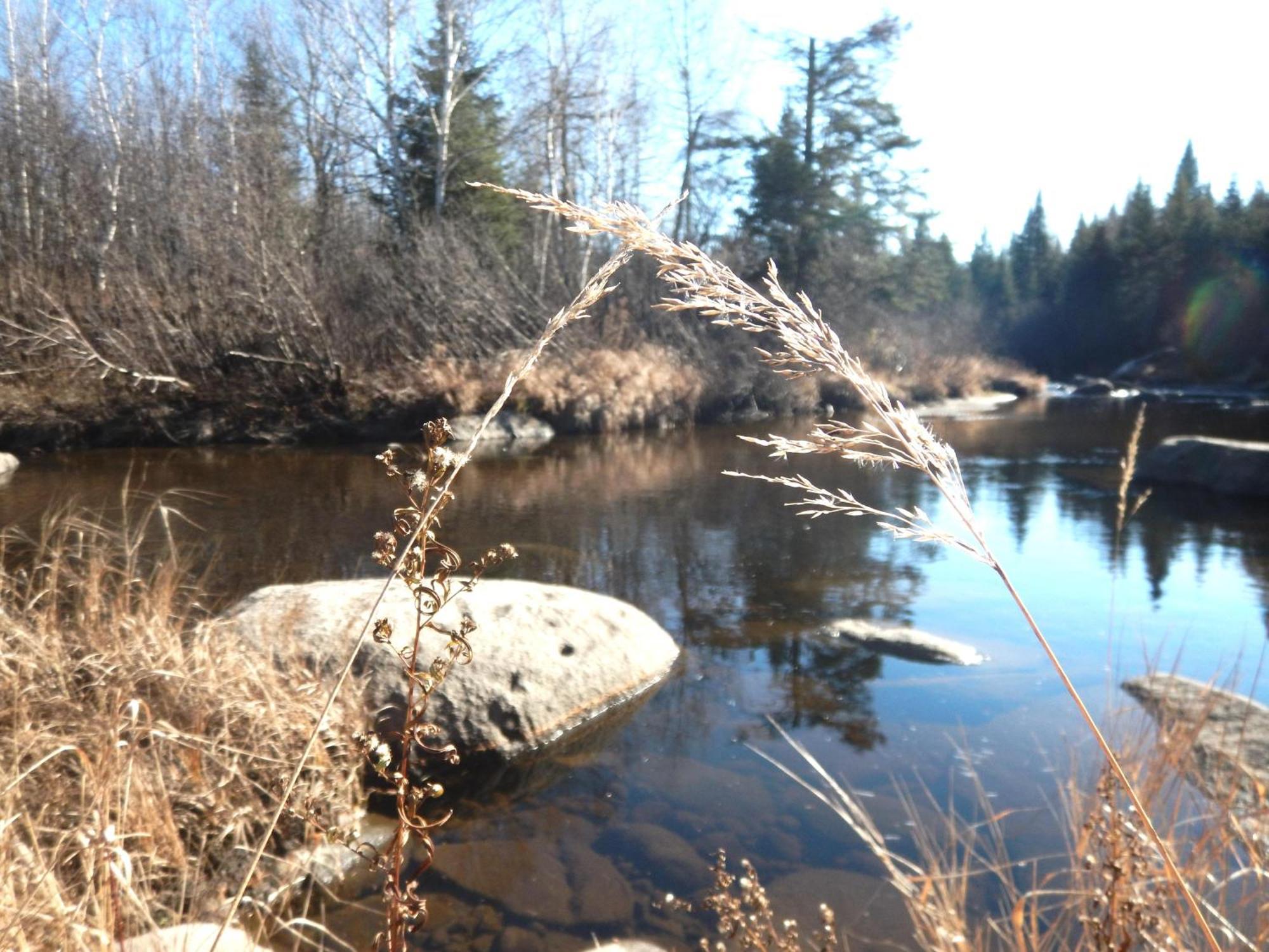Vila Aux Tipis De La Riviere Sauvage Saint Romain Exteriér fotografie