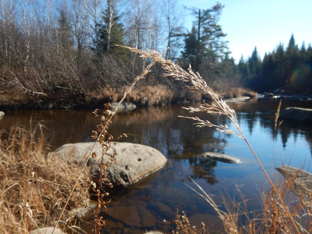 Vila Aux Tipis De La Riviere Sauvage Saint Romain Exteriér fotografie