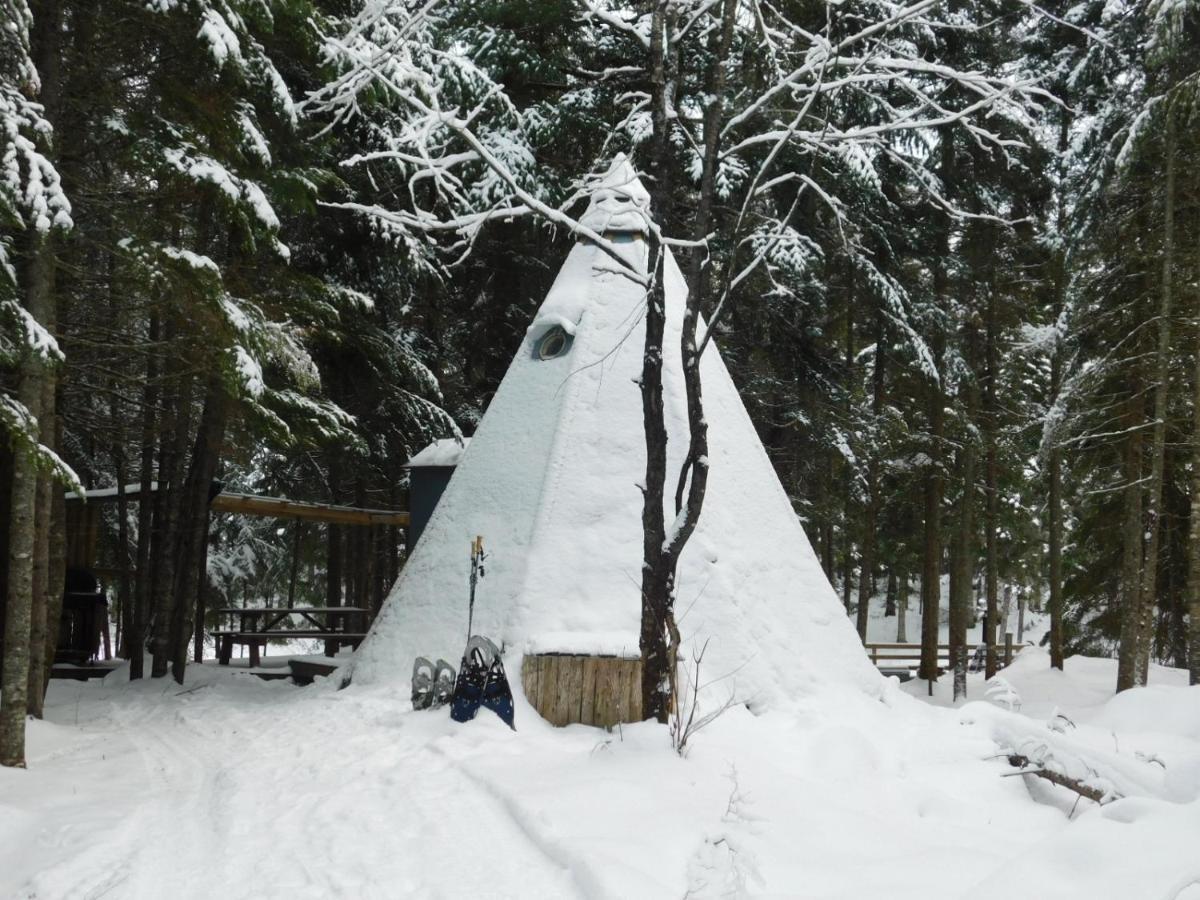 Vila Aux Tipis De La Riviere Sauvage Saint Romain Exteriér fotografie